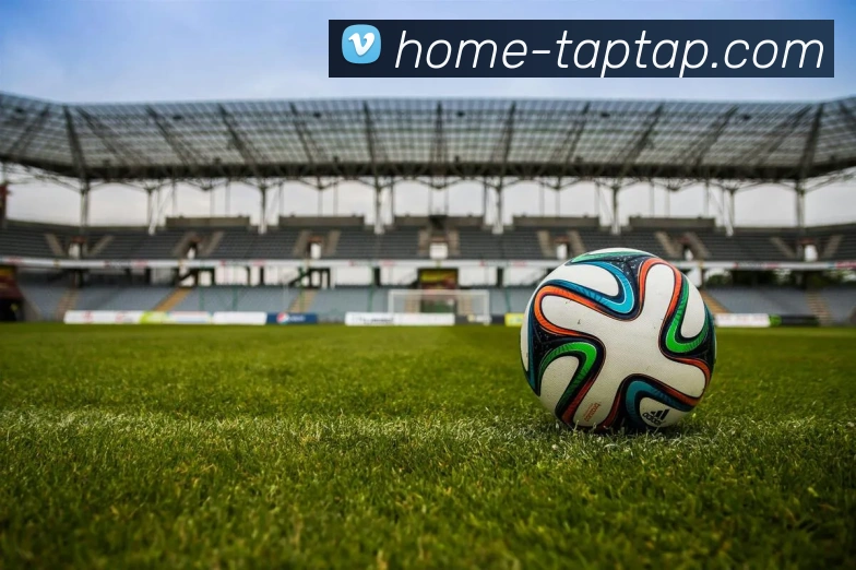 taptap点点体育全站App