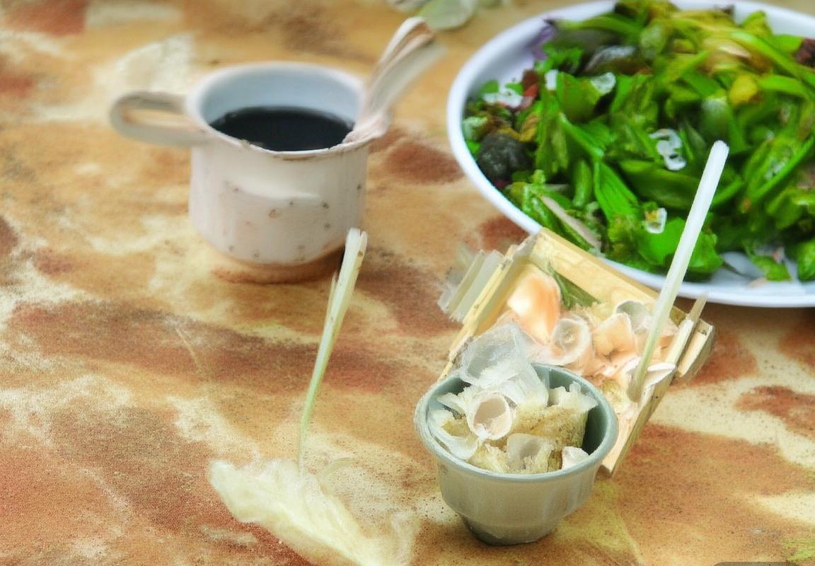 恩德里克：巴西足球天才的成长之路与未来展望